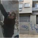 Detenido Ruzok, el grafitero señalado en redes sociales en Ciudad Vieja y Centro