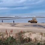 La IDM comenzó la apertura excepcional de la desembocadura del arroyo Tarariras