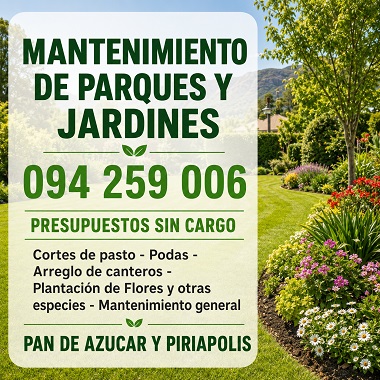 Mantenimiento de Jardines