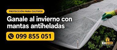 Mantas Antihelada