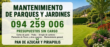Mantenimiento de Jardines