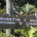Agenda de actividades gratuitas para las vacaciones de invierno en Maldonado