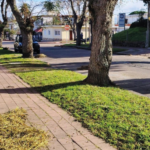 Mantenimiento y limpieza en Piriápolis