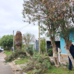 Continúa la campaña de podas en Pan de Azúcar