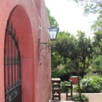Actividades gratuitas en el Arboretum Lussich durante setiembre