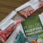 Inicio del Plan de Huertas Familiares: Entrega de semillas para la primavera-verano