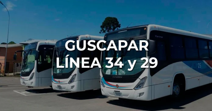 Linea 29 Guscapar